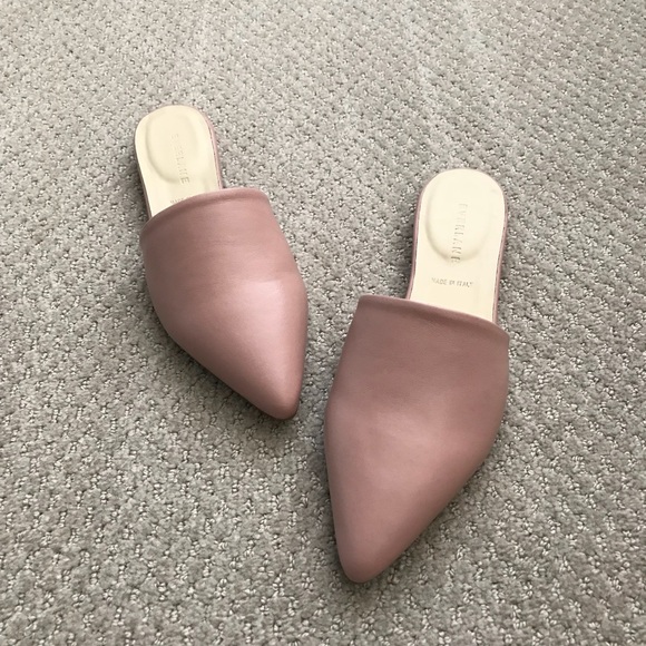 Everlane Shoes - Everlane the pointed slide NIB
